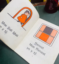 Load image into Gallery viewer, Llyfr ‘Sali Mali’ gan Mary Vaughan Jones i 1971 / ‘Sali Mali’ book by Mary Vaughan Jones from 1971
