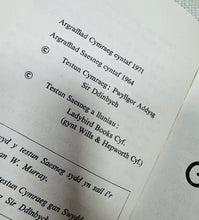 Load image into Gallery viewer, Llyfr Ladybird Cymraeg ‘Gwyliau Hapus’ Vintage o 1971 / Welsh Vintage ‘Gwyliau Hapus’ Ladybird book from 1971
