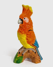 Load image into Gallery viewer, Fâs seramig parot oren / Orange parrot ceramic vase
