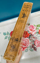 Load image into Gallery viewer, Argraffiad cyntaf o lyfr clawr caled ‘Llyfr Mawr y Plant’ o 1931 gan Jennie Thomas a J.O. Williams / First edition of the  ‘Llyfr Mawr y Plant’ hardback book from 1931 by Jennie Thomas and J.O. Williams
