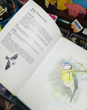 Load image into Gallery viewer, Llyfr ‘Adar yr Ardd’ argraffiad 1987 /  ‘Adar yr Ardd’ book 1987 print
