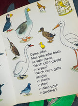 Load image into Gallery viewer, Llyfr plant ‘Gyda’r Anifeiliaid’ Vintage o 1976 / Vintage ‘Gyda’r Anifeiliaid’ children’s book from 1976
