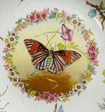 Load image into Gallery viewer, Plat Hynafol Pili Pala ac adar wedi ei beintio â llaw / Antique hand painted butterfly and birds plate
