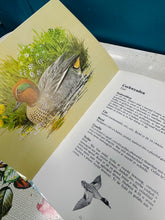 Load image into Gallery viewer, Llyfr ‘Adar yr Afonydd a’r Llynnoedd’ o 1982 /  ‘Adar yr Afonydd a’r Llynnoedd’ book from 1982

