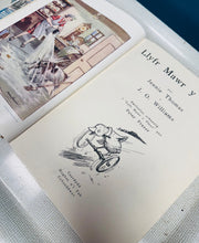 Load image into Gallery viewer, Llyfr Mawr y Plant 3 clawr caled / Hardback Llyfr Mawr y Plant 3
