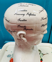Load image into Gallery viewer, Pen Seramig Antiqued Phrenology mawr / Large
Antiqued Ceramic Phrenology head
