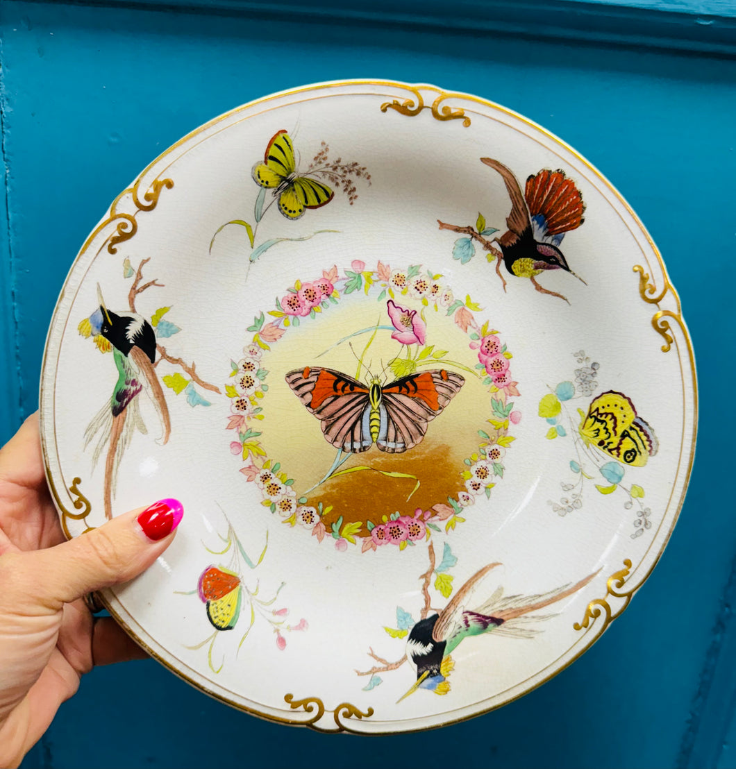 Plat Hynafol Pili Pala ac adar wedi ei beintio â llaw / Antique hand painted butterfly and birds plate