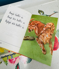Load image into Gallery viewer, Llyfr Ladybird Cymraeg ‘Ymlaen a ni’ prin o 1969 / Rare Welsh ‘Ymlaen a ni’ Ladybird book from 1969
