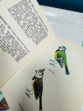 Load image into Gallery viewer, Llyfr ‘A Bird Book for the Pocket’ gan Edmund Sandars o 1943 / ‘A Bird Book for the Pocket’ by Edmund Sandars from 1943

