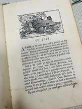 Load image into Gallery viewer, Llyfr Hynafol ‘Catrefi Cymru’ gan O.M.Edwards o 1896 / Antique book ‘Catrefi Cymru’ by O.M.Edwards from 1896
