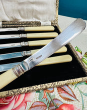 Load image into Gallery viewer, 6 Cyllell Menyn EPNS carn hufen Vintage o’r 40au yn eu bocs gwreiddiol / 6 Vintage 1940s cream handles EPNS Butter Knives in original case
