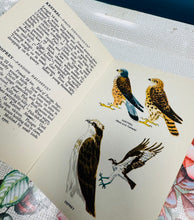 Load image into Gallery viewer, Llyfr ‘A Bird Book for the Pocket’ gan Edmund Sandars o 1943 / ‘A Bird Book for the Pocket’ by Edmund Sandars from 1943
