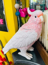 Load image into Gallery viewer, Jar seramig siâp parot pinc a gwyn / Pink and white ceramic parrot storage jar
