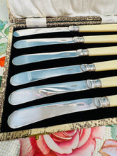 Load image into Gallery viewer, 6 Cyllell Menyn EPNS carn hufen Vintage o’r 40au yn eu bocs gwreiddiol / 6 Vintage 1940s cream handles EPNS Butter Knives in original case
