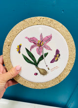 Load image into Gallery viewer, Teilsen trivet seramig crwn Portmeirion 'Meadow Saffron' Vintage / Ceramic Vintage Portmeirion round ‘Meadow Saffron’ tile trivet
