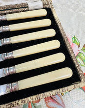 Load image into Gallery viewer, 6 Cyllell Menyn EPNS carn hufen Vintage o’r 40au yn eu bocs gwreiddiol / 6 Vintage 1940s cream handles EPNS Butter Knives in original case
