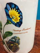 Load image into Gallery viewer, Jar Portmeirion Botanics ‘Convolvulus’ / Portmeirion Botanics ‘Convilvulus’ jar
