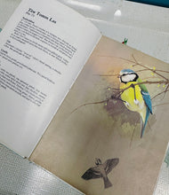 Load image into Gallery viewer, Llyfr ‘Adar yr Ardd’ o 1982 /  ‘Adar yr Ardd’ book from 1982
