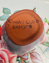 Load image into Gallery viewer, Jwg Retro ‘Saws Mintys’ Crochendu ’Doniau Cudd, Bangor’ / Retro ‘Saws Mintys’ ‘Doniau Cudd, Bangor’ pottery mint sauce jug
