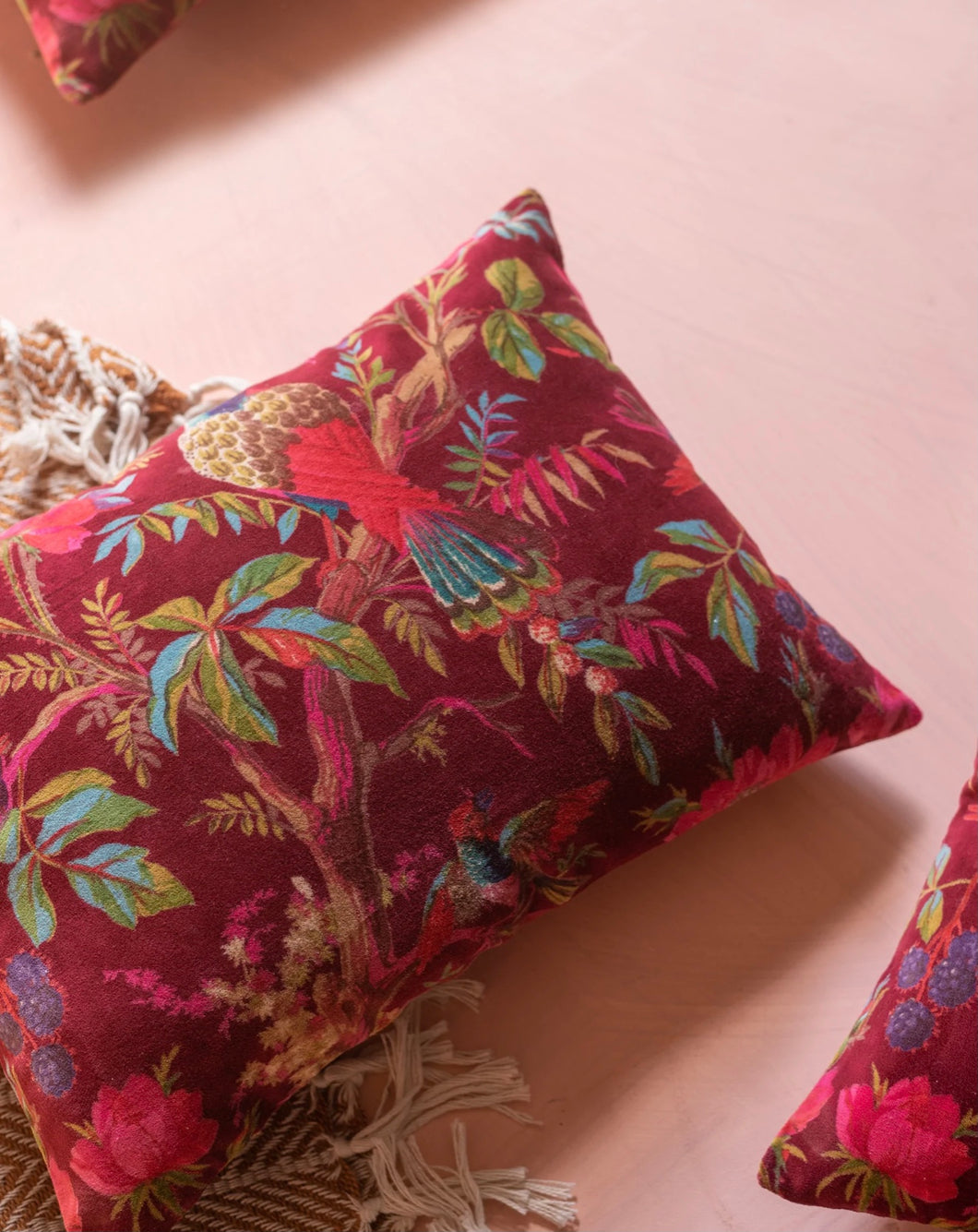 Clustog felfed aderyn paradwys Marŵn Maroon bird of paradise velvet cushion (Ian Snow)