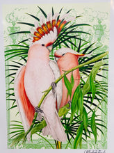 Load image into Gallery viewer, Print A3 parot pinc mewn mount / Mounted A3 pink parrot print
