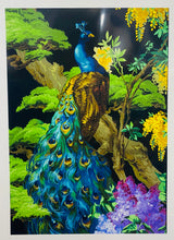 Load image into Gallery viewer, Print A3 y paen mewn mount / Mounted A3 the peacock print
