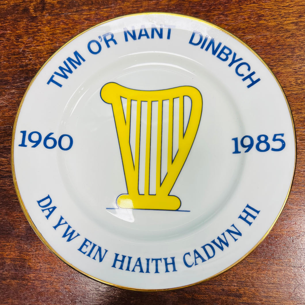 Plat dathlu chwarter canrif o Ysgol Twm o’r Nant / Ysgol Twm o’r Nant’s quater of a century celebration plate
